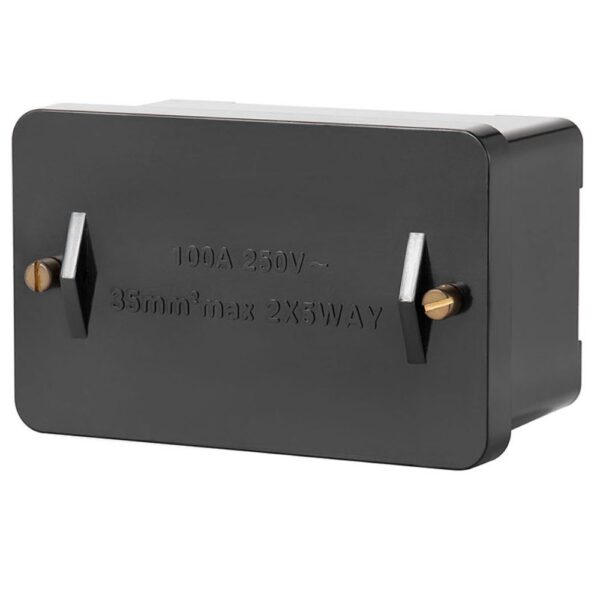 Live Electrical LCBD 100A Double Pole Connector Block