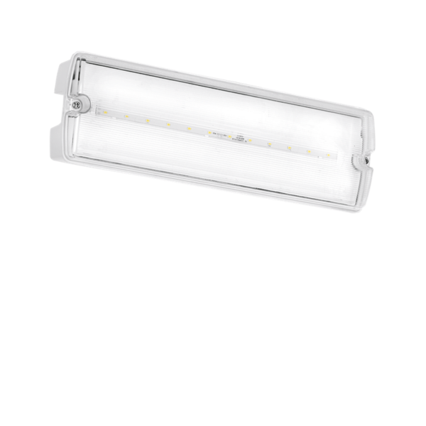 AURORA EN-EMBH Aurora 3W Maintained Emergency Bulkhead with Manual Test Function 1