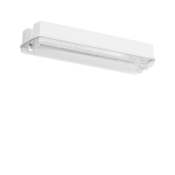 AURORA EN-EMBHST Aurora EN-EMBHST 3W Maintained Emergency Bulkhead with Self Test Function 2