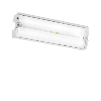 AURORA EN-EMBHST Aurora EN-EMBHST 3W Maintained Emergency Bulkhead with Self Test Function 1
