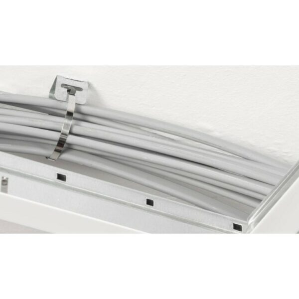 D-Line SAFEDFCLIP30/100 D-Line Safe-D F-Clip 30 Cable Fasteners 56x20x8mm - 100 Pieces 2