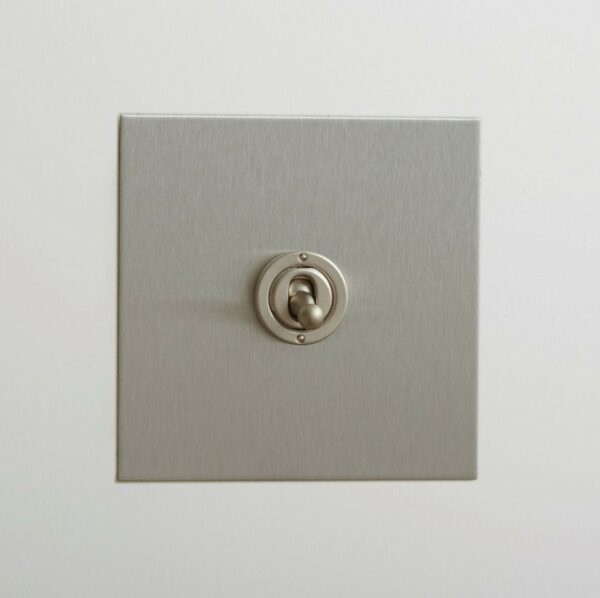 Forbes & Lomax 1GIN/SS Forbes & Lomax 1GTW/SS 1 Gang Intermediate Dolly Switch - Stainless Steel Plate 2