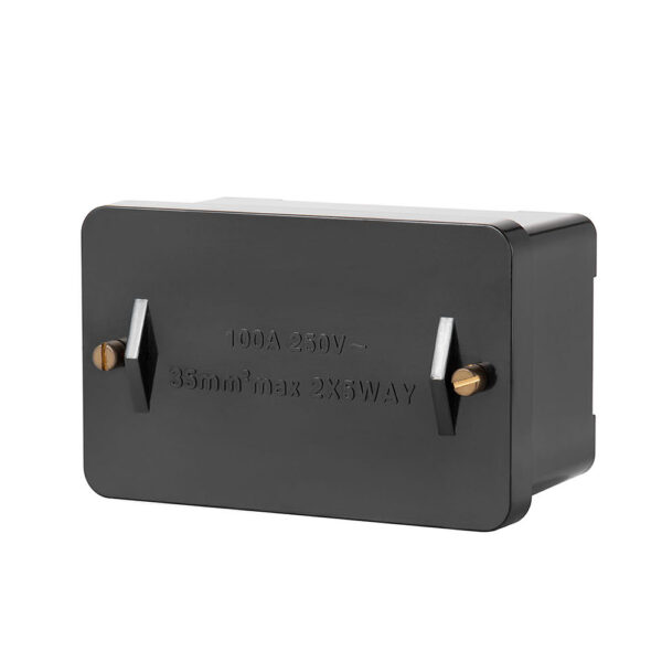 Live Electrical LCBD 100A Double Pole Connector Block 1