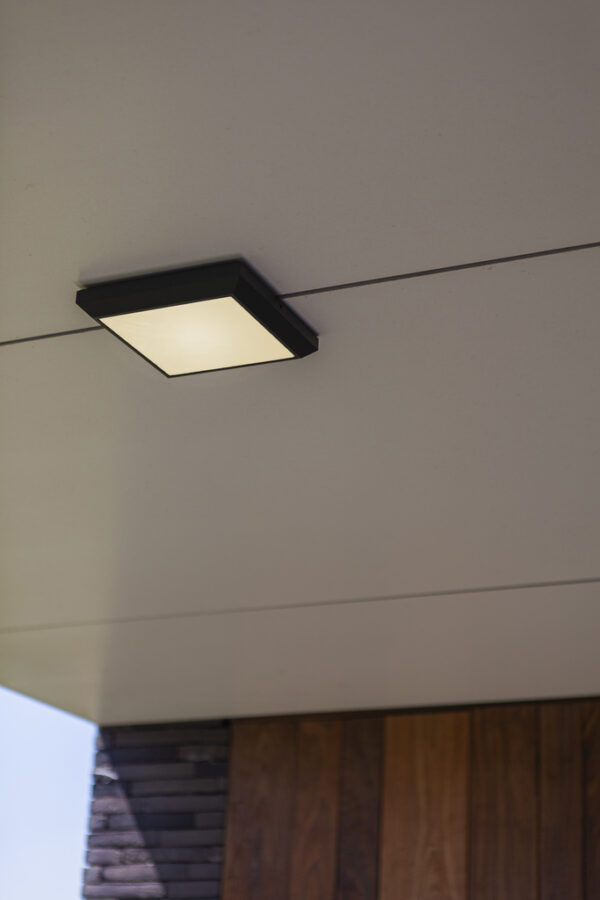 Lutec 5102101118 Lutec - Helena Wall Light - 4000K - Dark Grey 3
