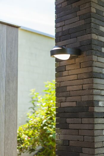 Lutec 5196301118 Lutec Led Wall Light - Fele 1