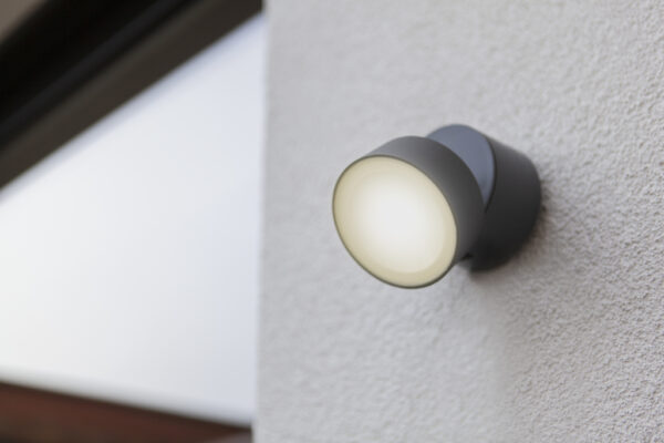 Lutec 5626101125 Lutec - Trumpet Wall Light 4