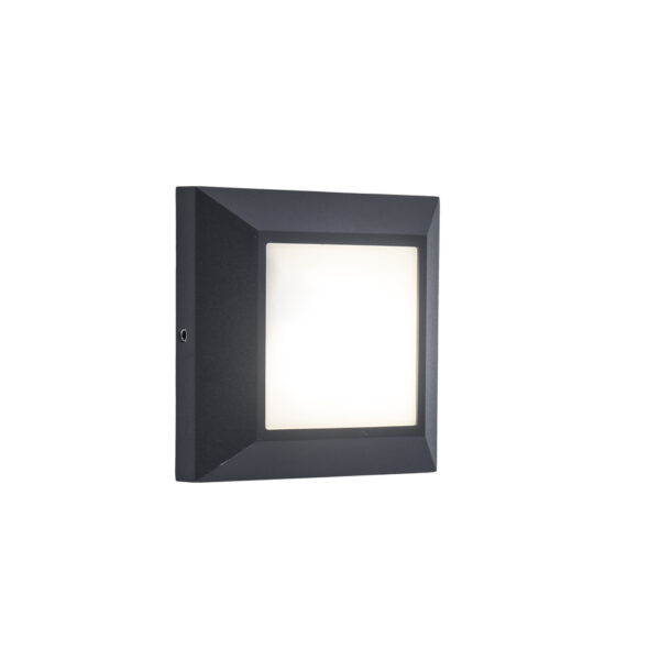 Lutec 6402101118 Lutec - Helena Wall Light - 4000K - Dark Grey 1