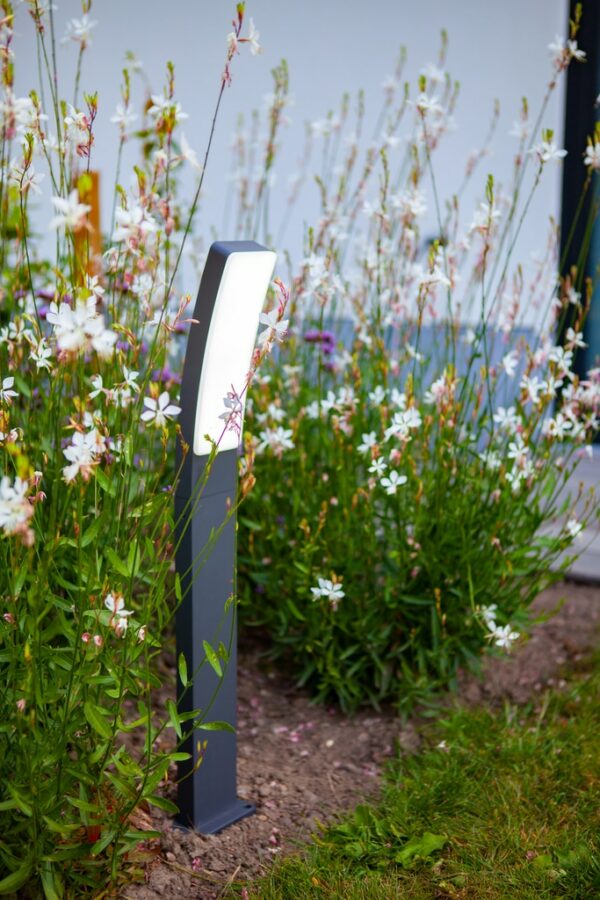 Lutec 7288902118 Lutec - Kira Pole Light 6