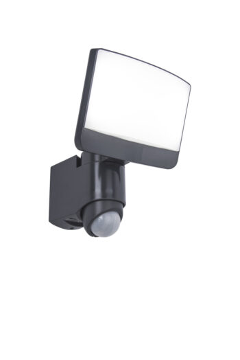 Lutec 7625601345 Lutec - Sunshine Security Light - Charcoal Grey - 5000K - PIR - Moveable Head 1