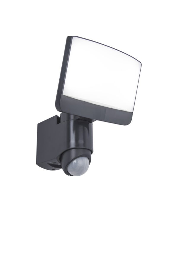 Lutec 7625601345 Lutec - Sunshine Security Light - Charcoal Grey - 5000K - PIR - Moveable Head 1