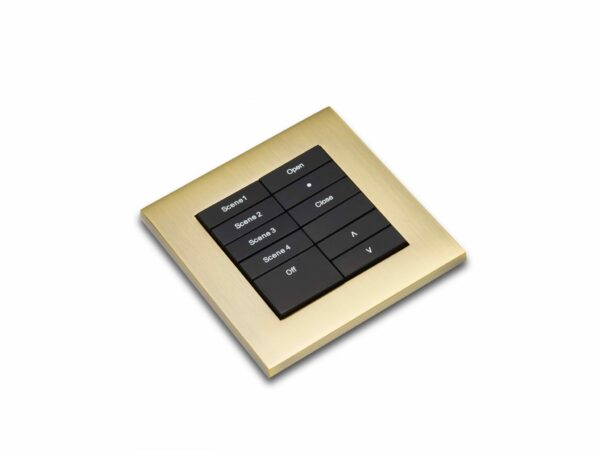 RAKO RK-MOD-101-B Rako Wireless Modular Control Module - RK-MOD-101 - Black Buttons 2