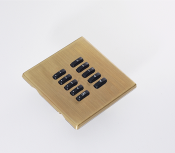 RAKO WLM-100-AB Rako WLM-100-AB Cover Plate Antique Brass 1