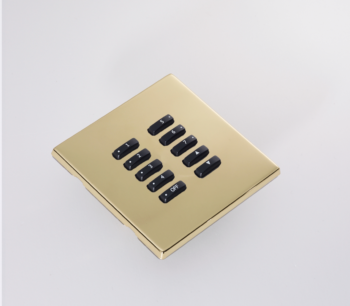RAKO WLM-100-PB Rako WLM-100-PB Cover Plate Polished Brass 1