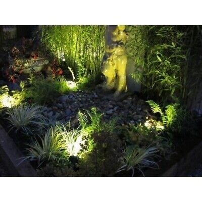 Outdoor Wall Lights - Complete Guide 5 LED Spike Lights