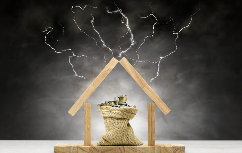 Surge Protection Devices (SPDs) - Ultimate Guide 2 Surge Protection Device (SPD)