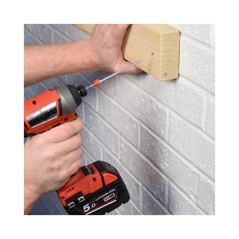 Armeg SDBTTPZ2 PZ2 6pc 50mm Mag-Bits 3 Armeg SDBTTPZ2 50mm Mag-Bits