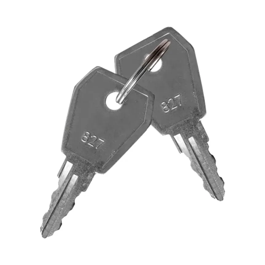 ESP MAGISORPK Isolator Switch Keys 1 ESP MAGISORPK Isolator Switch Keys