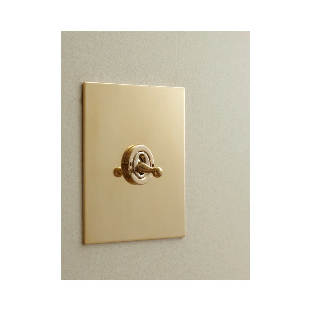 Forbes & Lomax 1GTW/U 1 Gang 2 Way Dolly Switch - Unlacquered Brass Plate 1 Forbes & Lomax 1GTW/U Forbes & Lomax 1GTW/U 1 Gang 2 Way Dolly Switch - Unlacquered Brass Plate