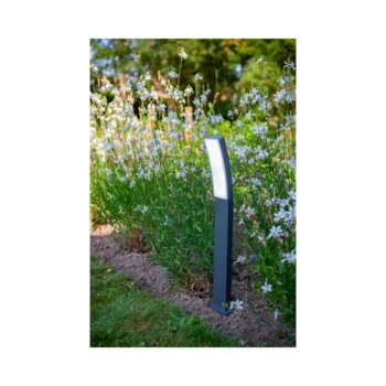 Lutec 7288902118 Lutec - Kira Pole Light 1