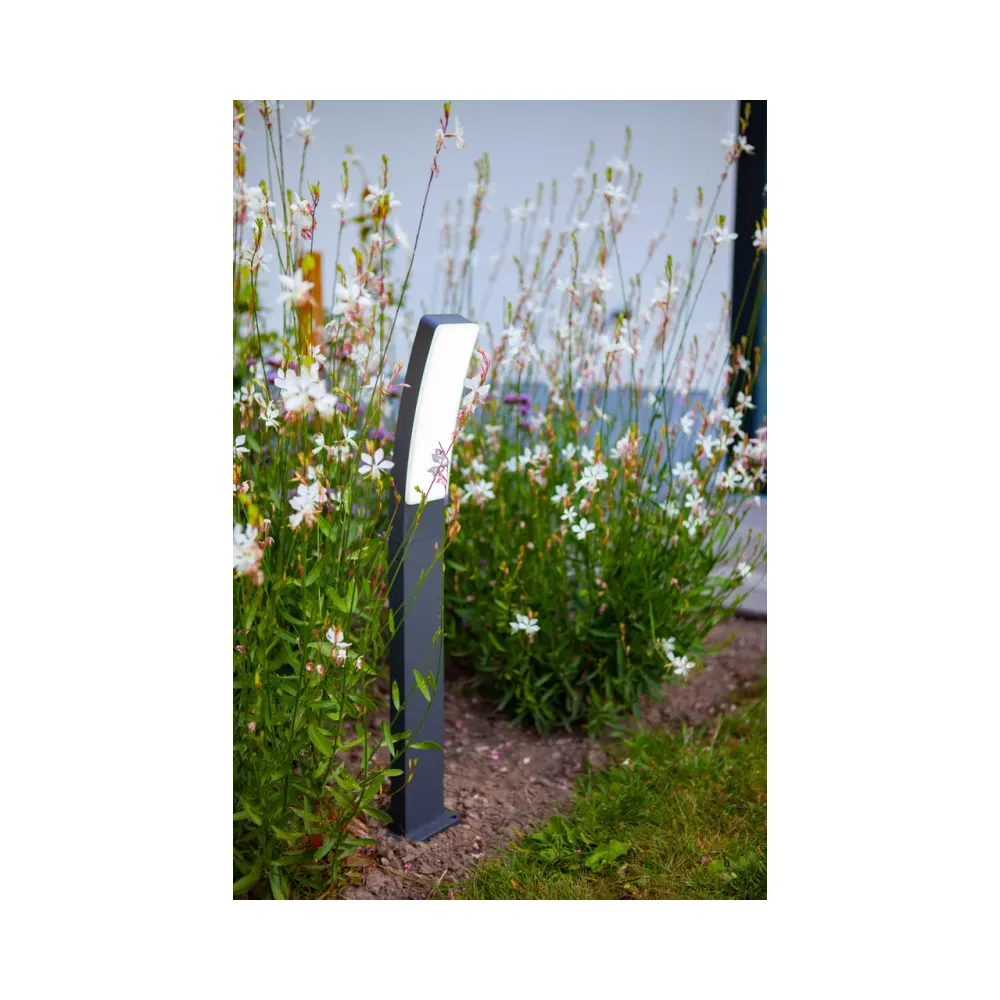 Lutec - Kira Pole Light 6 Lutec 7288902118 Lutec - Kira Pole Light 6