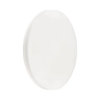 Collingwood Lighting Collingwood | WL9410SCS | CCT IP65 LED Bulkhead