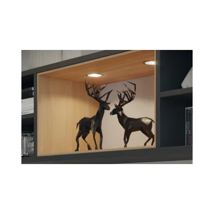 Hafele 833.72.611 | Loox5 LED 2047 12V Spot Light | IP20 | Silver Coloured | 4000K 4 833.72.611