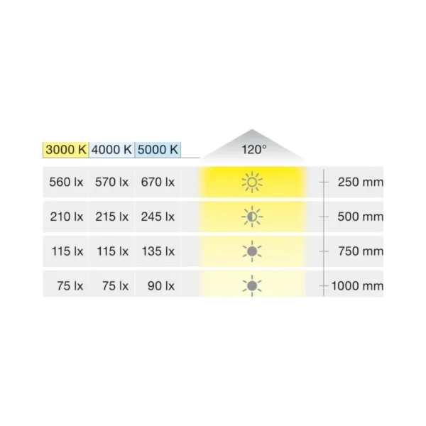 Hafele Loox5 5000K 12V LED Downlight