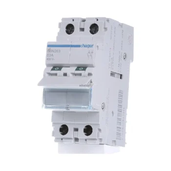 Hager SBN263 63A Double Pole Isolator