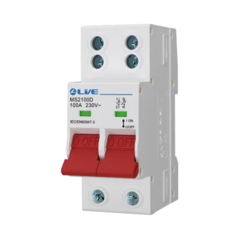Live Electrical MS2100D 2 Pole 100A Double Terminal Main Switch