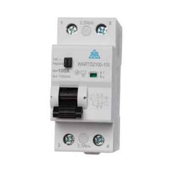 WCED 2 Pole 100A 100mA Time Delay Type A RCD