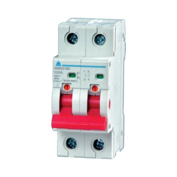WCED 2 Pole 100A Main Switch