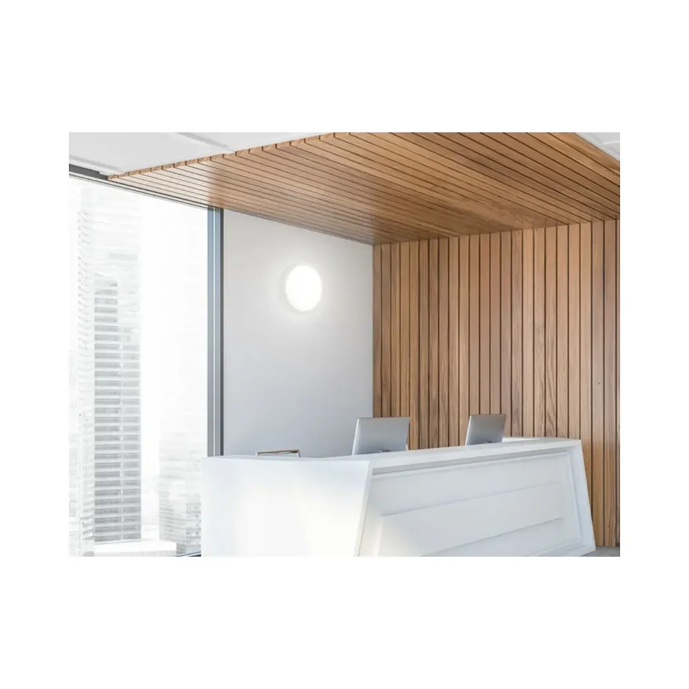 ALL LED Bruno 3 16W IP65 IK10 CCT Selectable LED Bulkhead 3 ALL LED Bruno 3 16W IP65 IK10 CCT Selectable LED Bulkhead 3