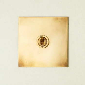 Forbes & Lomax 1GTW/OLB 1 Gang 2 Way Dolly Switch - Aged Brass Plate 2