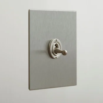 Forbes & Lomax 1GTW/SS 1 Gang 2 Way Dolly Switch - Stainless Steel Plate